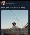 IMG_1221.jpeg