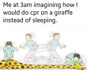 IMG_1237.jpeg