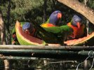 IMG_5812.jpeg