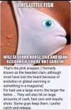 FB_IMG_1686746288128.jpg