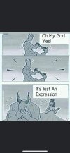 FB_IMG_1686764056208.jpg