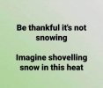 IMG_1243.jpeg