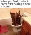 FB_IMG_1686999033727.jpg