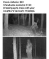 IMG_1244.jpeg