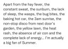 IMG_1249.jpeg