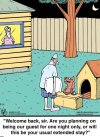FB_IMG_1687088649793.jpg