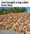 IMG_1260.jpeg