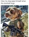 IMG_1276.jpeg