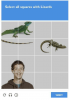 select-all-squares-with-lizards-verify-me-irl-32078459-1.png