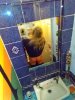 IMG_20191021_232243777.jpg