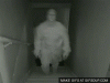 tenor (5).gif