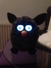 DefaultFurbyPersonality.jpg
