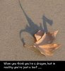 FB_IMG_1536837928218.jpg