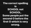 IMG_9350.jpeg