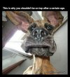 IMG_1295.jpeg