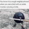 FB_IMG_1687719312452.jpg