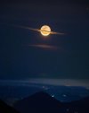 IMG_9766.jpeg