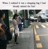 IMG_1316.jpeg