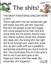 the word shit.jpg