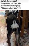 IMG_1330.jpeg