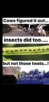FB_IMG_1688065748242.jpg