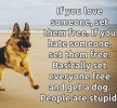 IMG_1334.jpeg