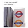 IMG_1347.jpeg