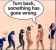 FB_IMG_1688408674313.jpg