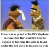 FB_IMG_1688409096452.jpg