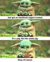 FB_IMG_1688588471434.jpg
