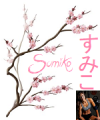 Sumiko signature.png