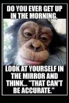 IMG_1436.jpeg