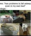 IMG_1441.jpeg