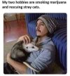 FB_IMG_1689277565197.jpg