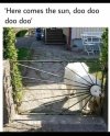 IMG_1444.jpeg
