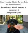 IMG_1452.jpeg