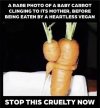 FB_IMG_1690394695774.jpg