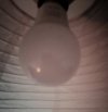 IMG_20230730_192255.jpg