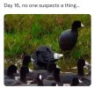 IMG_1496.jpeg