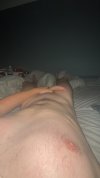 IMG_3841.jpeg