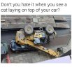 FB_IMG_1691511879220.jpg