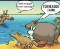 FB_IMG_1691614175375.jpg