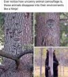 IMG_1546.jpeg