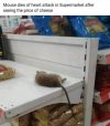 FB_IMG_1691953273199.jpg