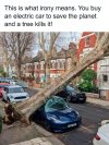 FB_IMG_1691941471884.jpg