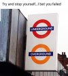 IMG_3071.jpeg