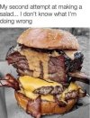 IMG_2433.jpeg