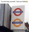 IMG_2518.jpeg