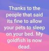 IMG_1618.jpeg