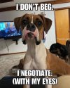 IMG_1648.jpeg